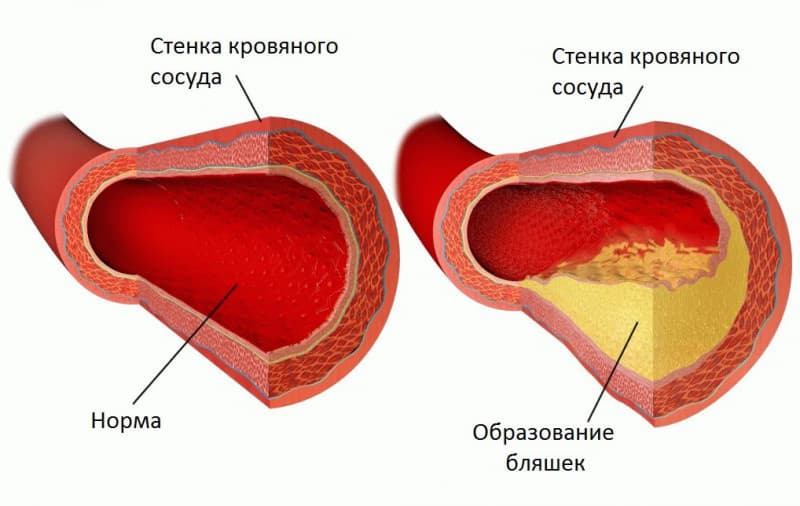 Фото №1