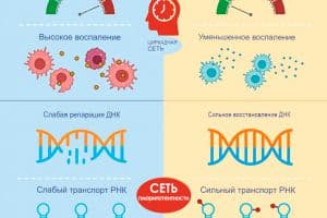 Ученые открыли еще один секрет долголетия
