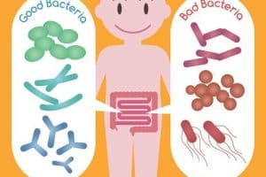 Связь микробиома и настроения