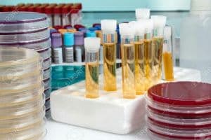 Важный проект создания крупнейшей в мире базы данных по микробиомам человека