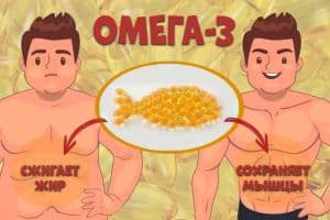 Новая информация о пользе Омега-3 для мышц