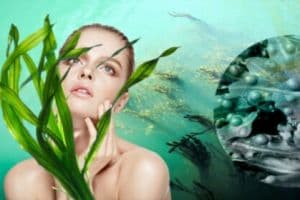 Морские водоросли сохраняют кожу от старения