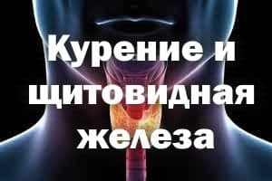 О негативном воздействии курения на функцию щитовидной железы