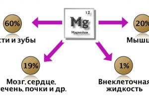 Возможен ли длительный прием магния