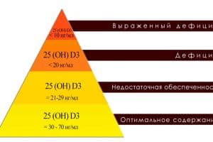 Что показывает витамин Д 25-ОН?