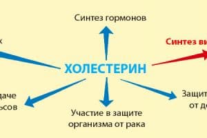 Холекальциферол необходим для здоровья сосудов