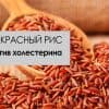 Статины и когнитивные нарушения
