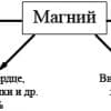 6 признаков дефицита магния