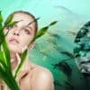 Морские водоросли и кожа