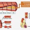 Клинические рекомендации по терапии атеросклероза