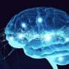 Влияние витамина Д на нервную систему