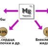 Как часто нужно пить магний