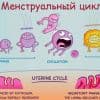 Влияние уровня витамина D на менструальный цикл