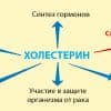 Витамин Д и холестерин - влияние на атеросклероз сосудов и липидный обмен